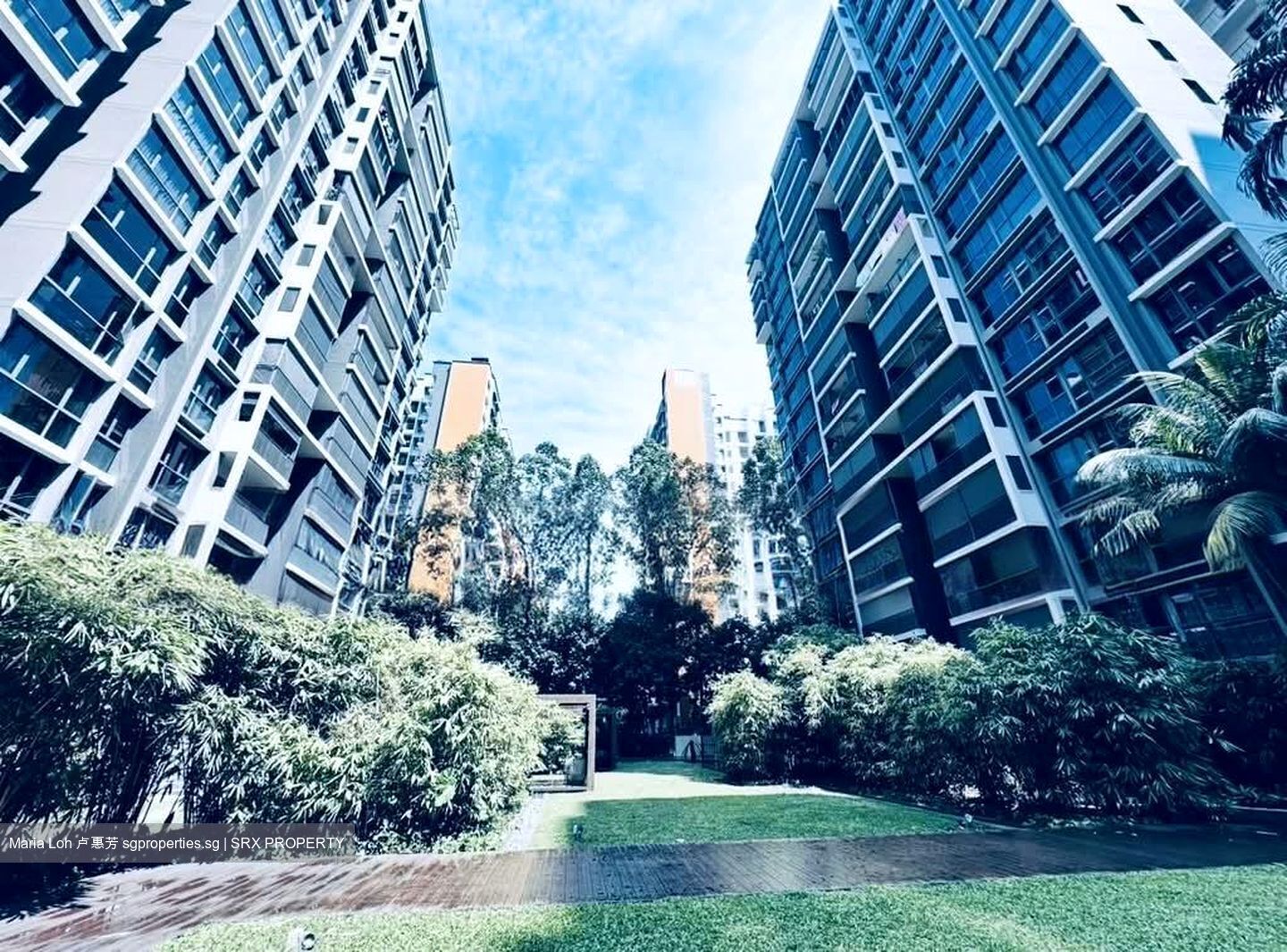 Bellewaters (D19), Condominium #601022811